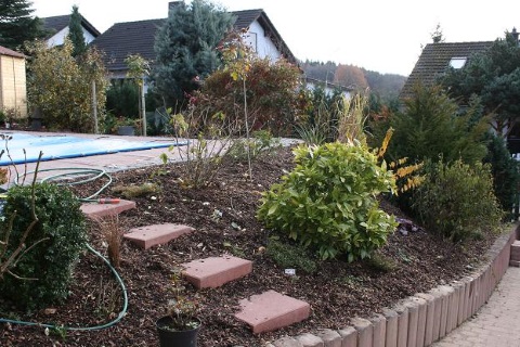 Foto Außenanlage mit Pool