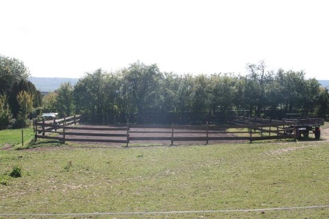 Foto Zaun für Pferdekoppel
