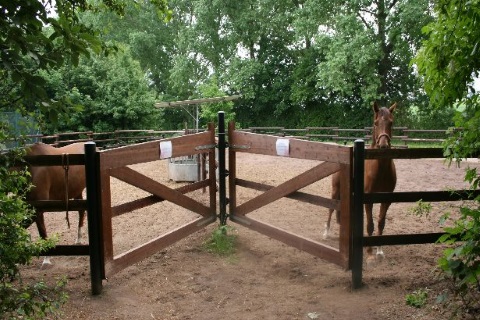 Foto Paddocks